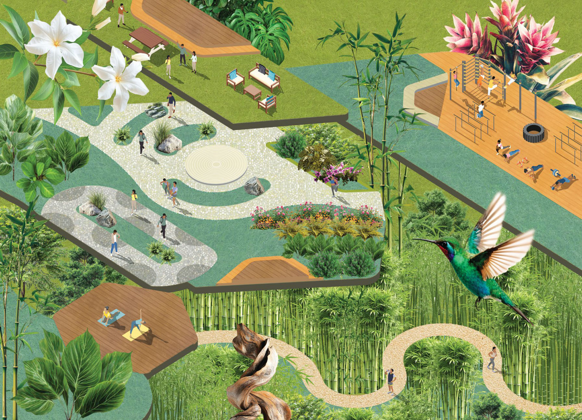 Illustrated view of the Miyawaki Zone with paths, lawns, decks, bamboo and flowers